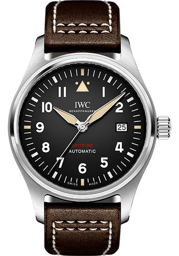 Iwc inc online